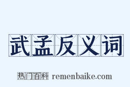 武孟反义词是什么意思的图片